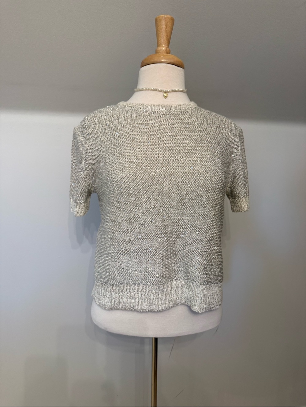 NWT Sparkly Zara Knit Top